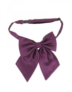 Men Purple Bow Tie